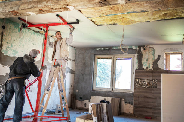 Best Eco-Friendly Insulation in Freemansburg, PA