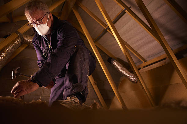 Reliable Freemansburg, PA Insulation Contractor Solutions